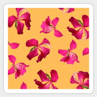 Bauhinia Flower Custard Yellow - Summer Flower Pattern Sticker